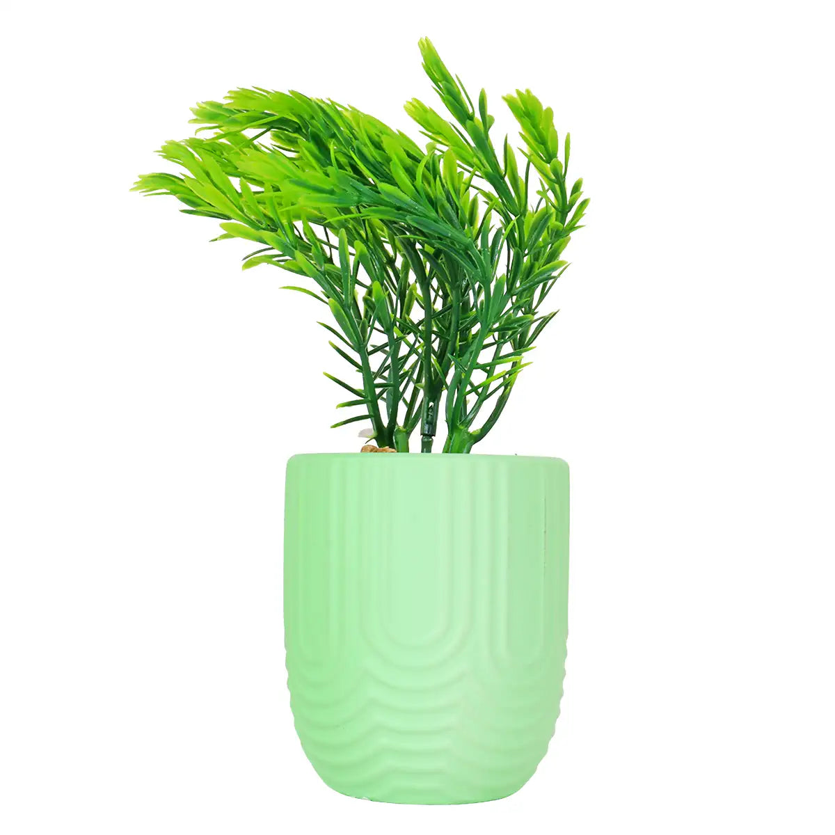 Planta con Maceta, Textura Arcoíris, Color Verde