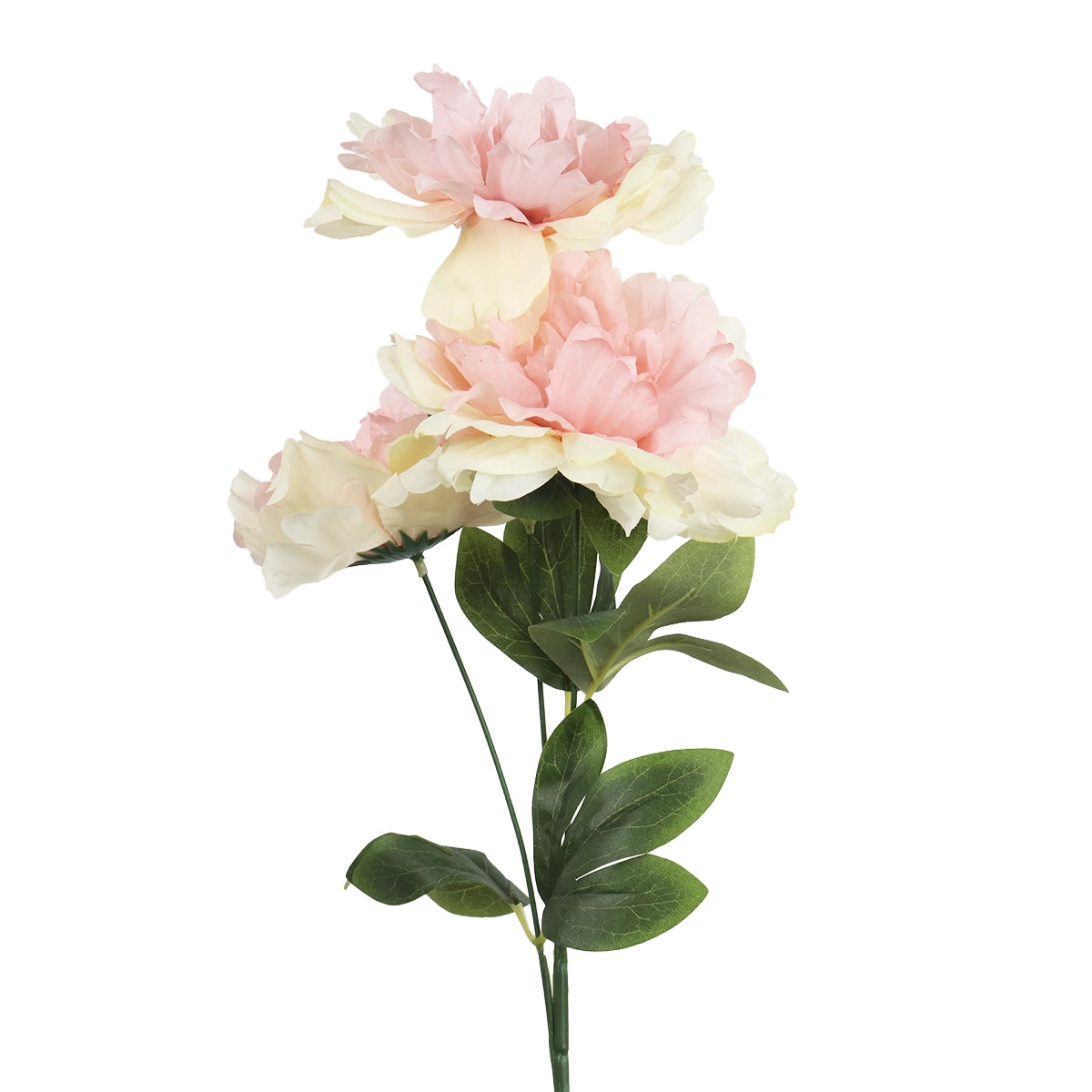 Ramo de Peonias, 3 pzas