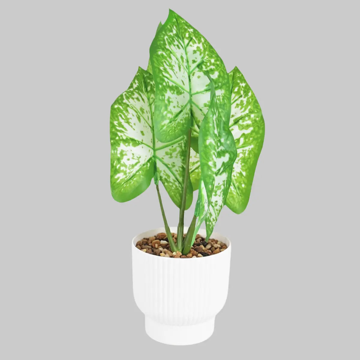 Planta Potus Artificial con Maceta Blanca