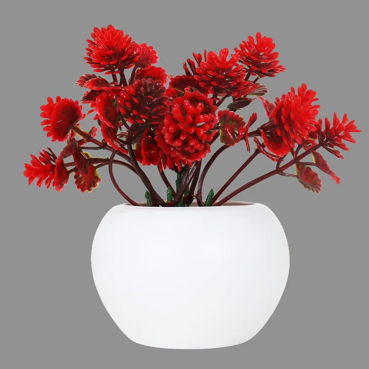 Planta Roja con Maceta Circular, Color Blanco