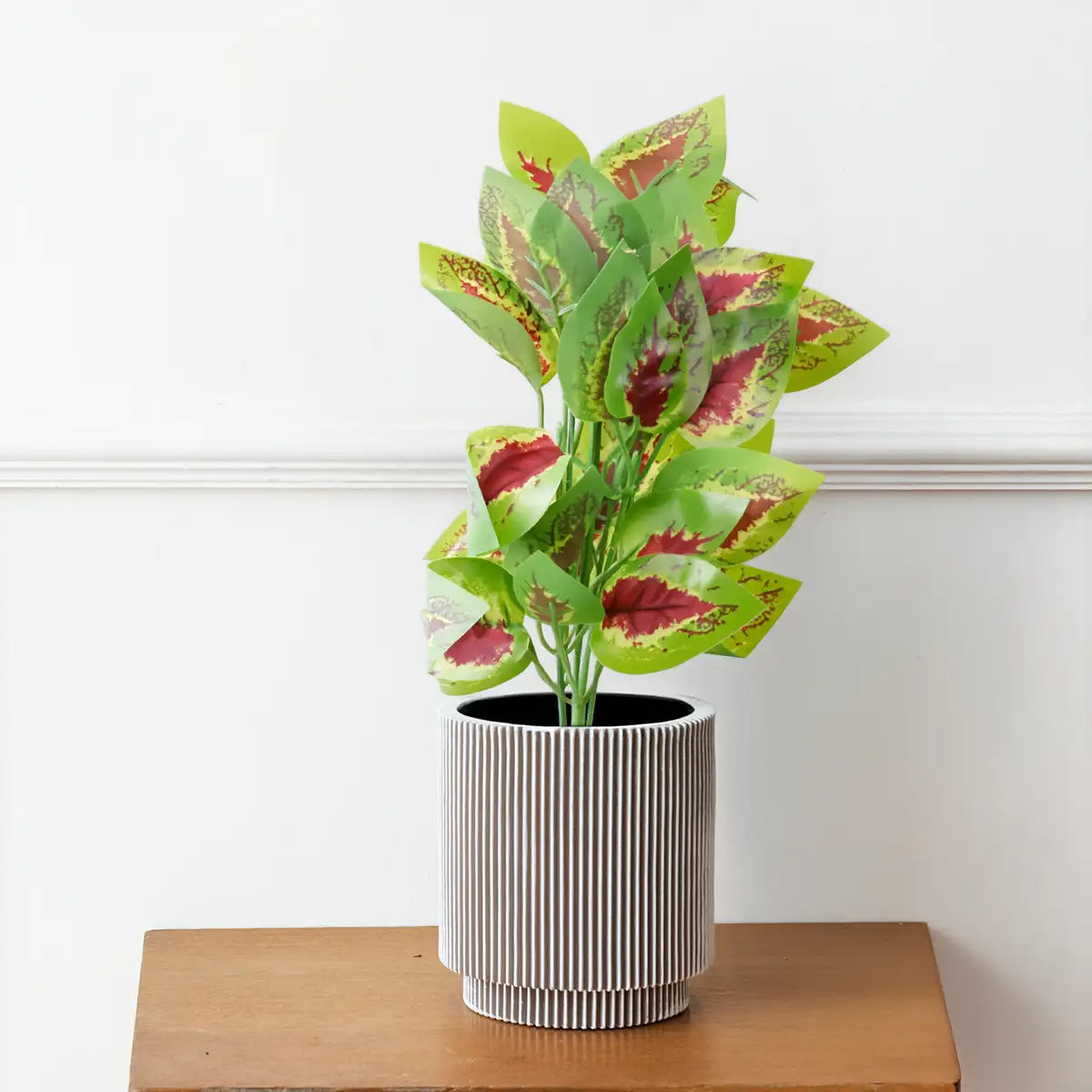 Rama de Planta Artificial, Coleus