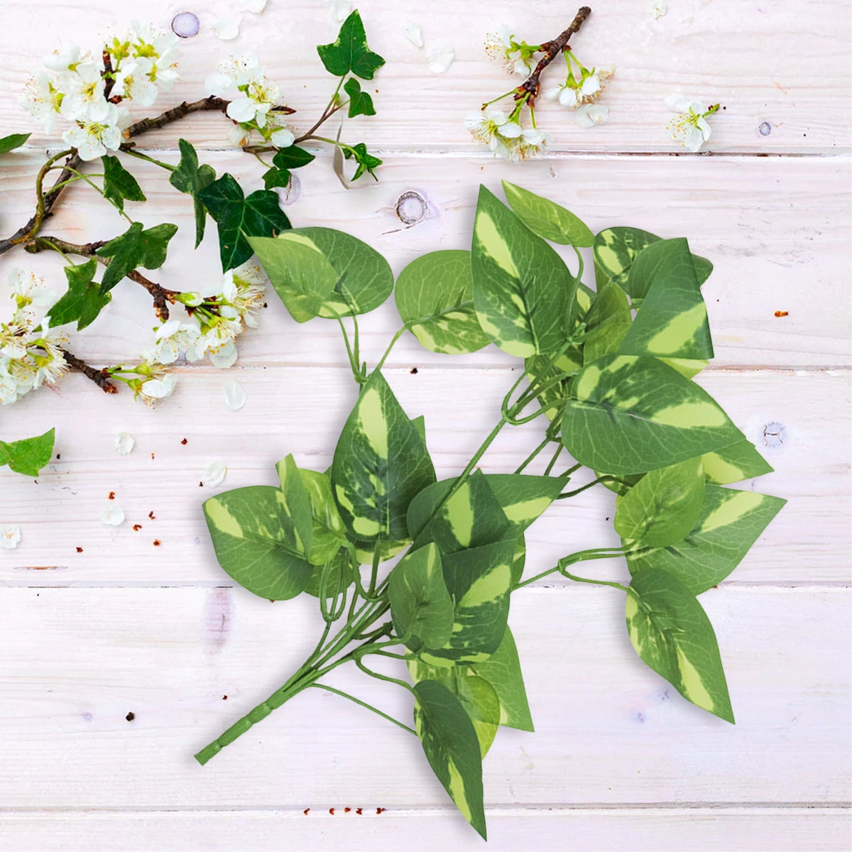 Ramo de Ruscus, Color Verde