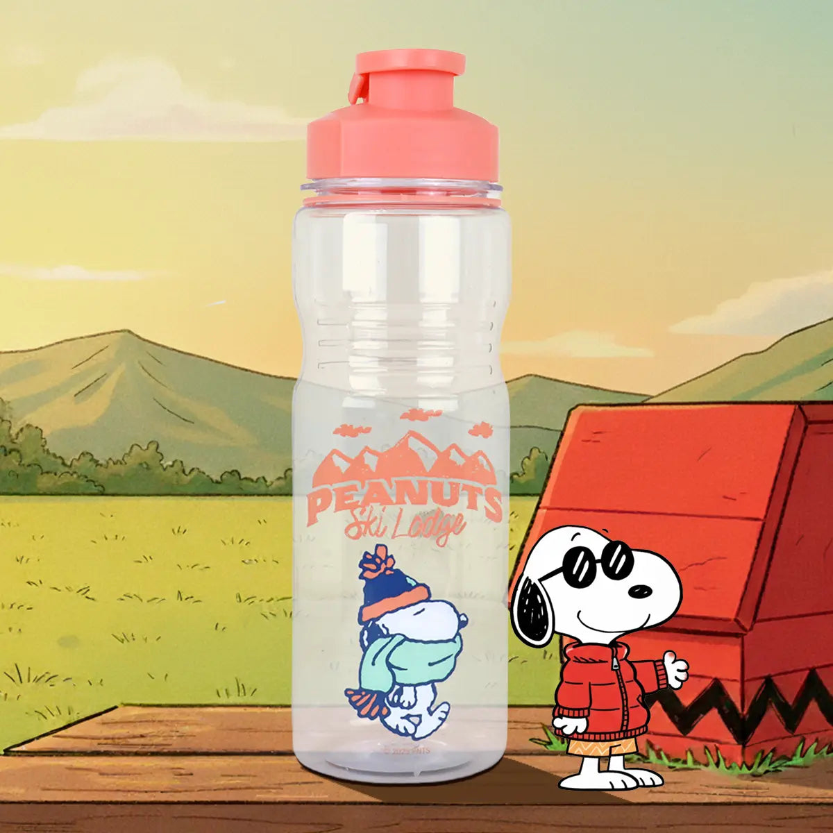 Botella de Agua, Peanuts, 700 ml
