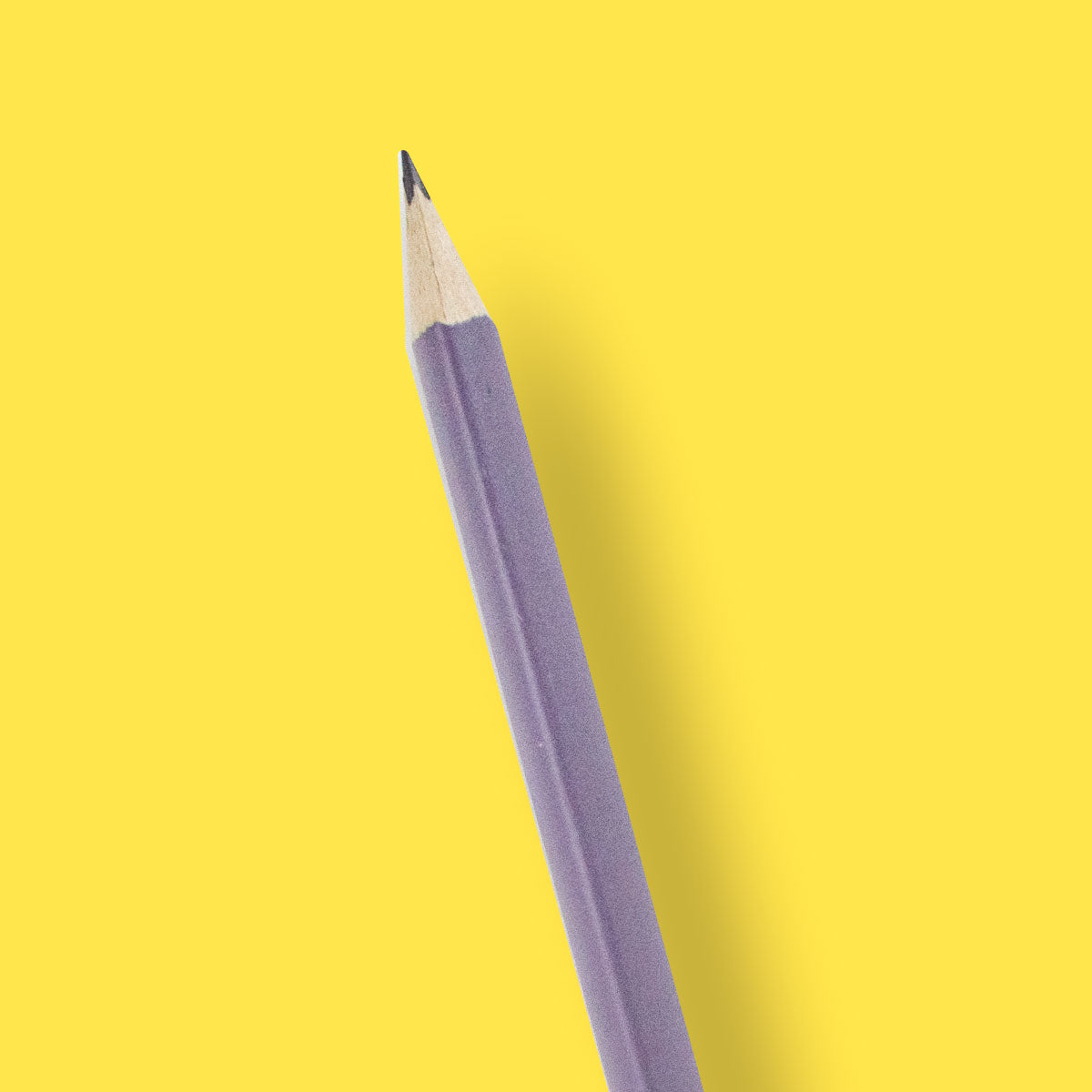 Paquete Lápices Triangulares 8pz.