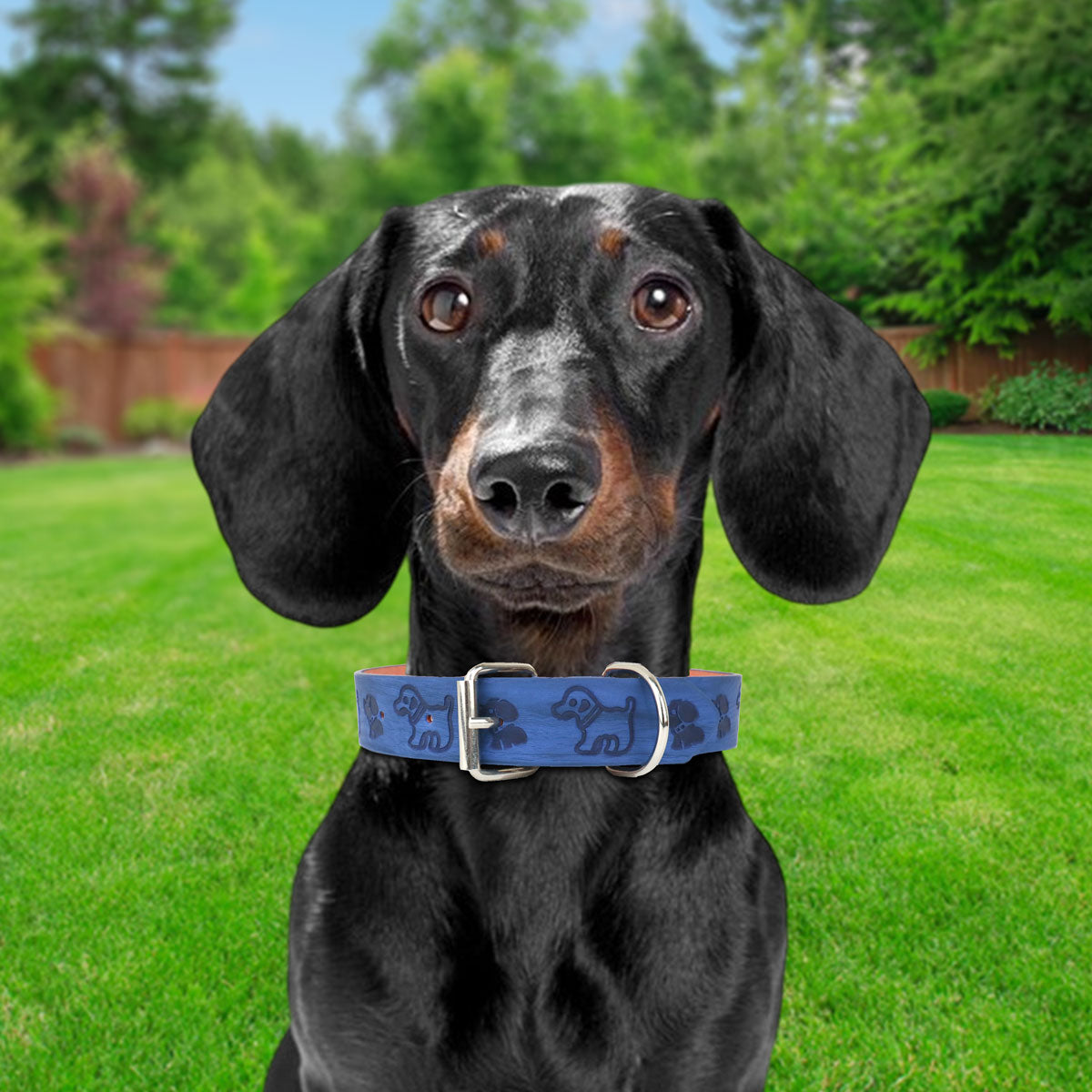 Collar Decorado color Azul Marino para Mascota
