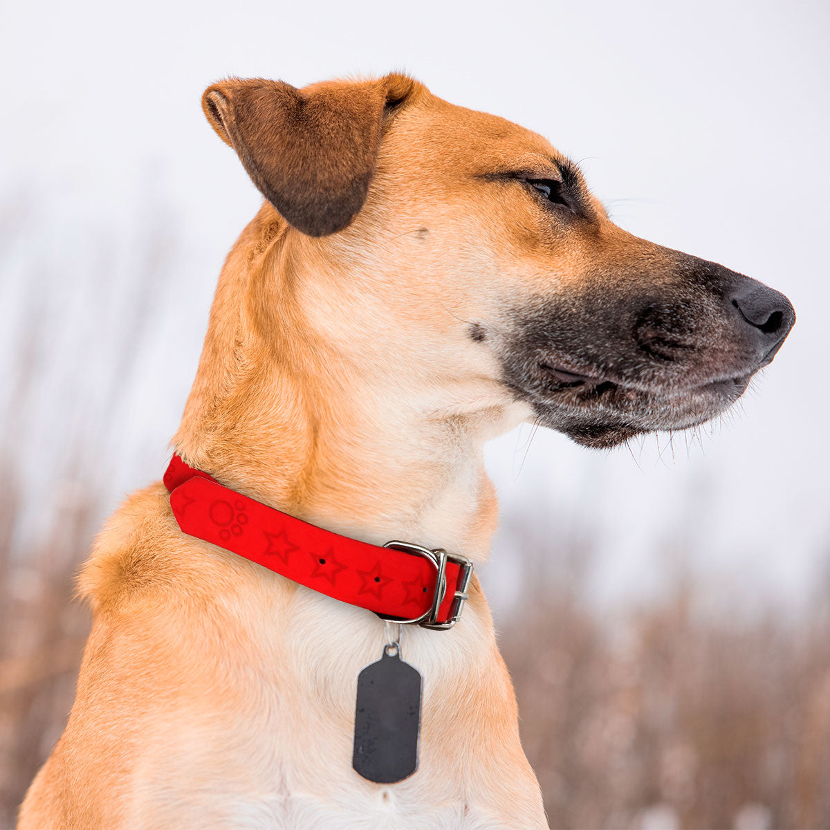 Collar Decorado color Rojo para Mascota