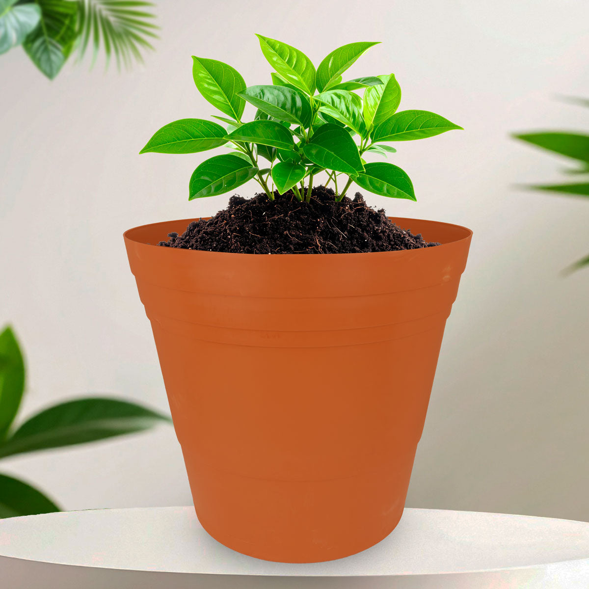Maceta de Plástico, Color Naranja