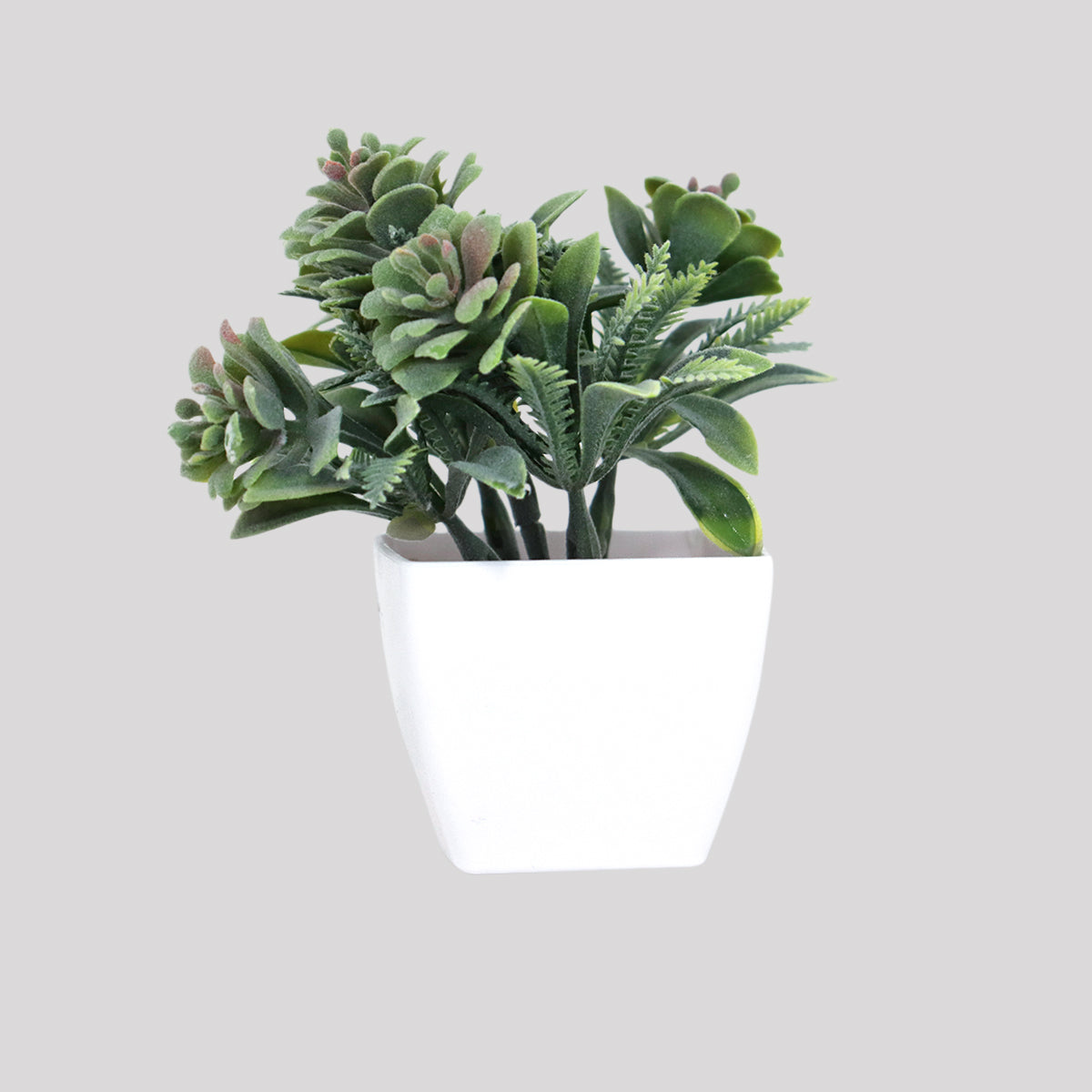Maceta Blanca con Suculenta Artificial, 10x5cm