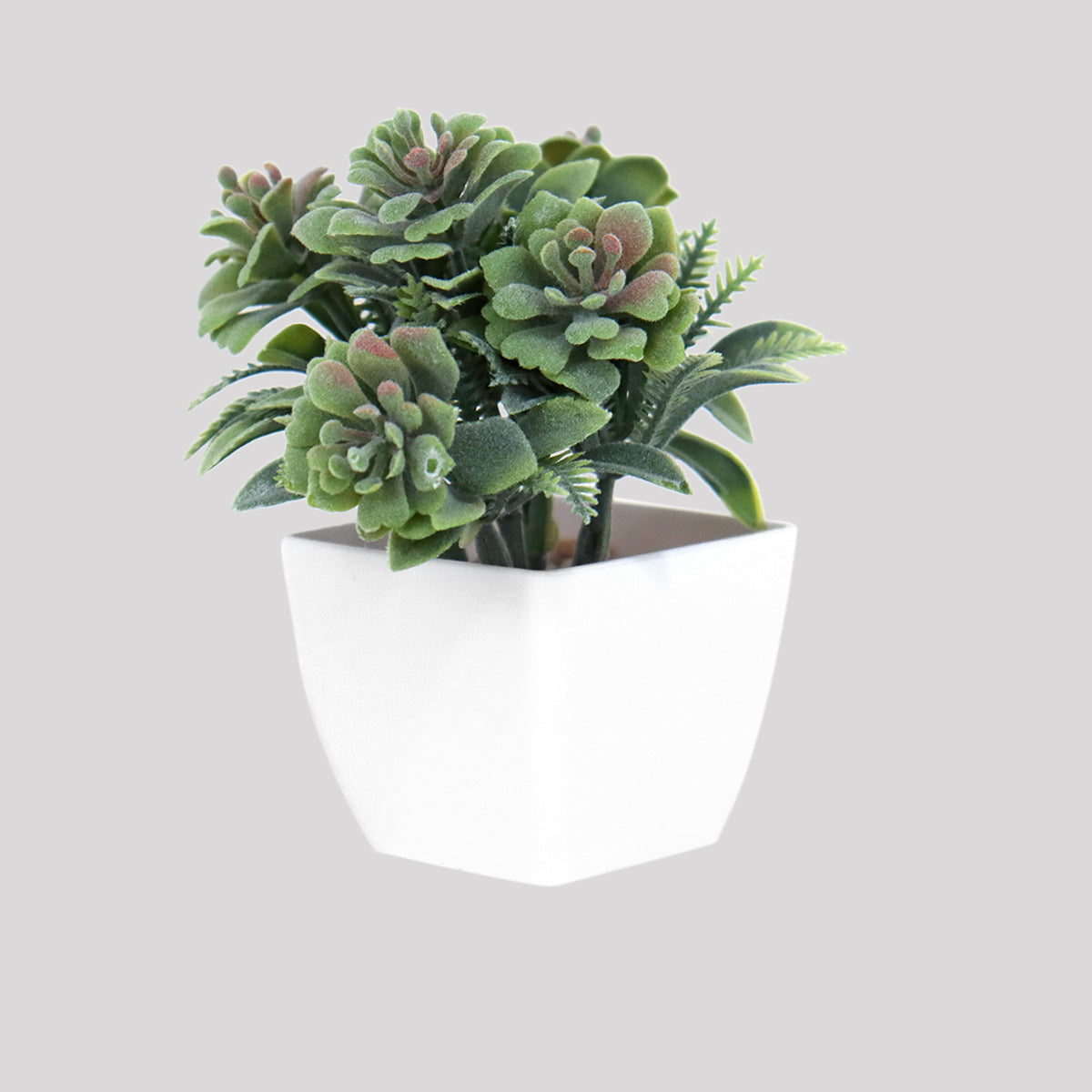 Maceta Blanca con Suculenta Artificial, 10x5cm