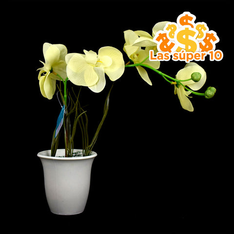 Maceta de Plástico con Orquídea color Amarillo