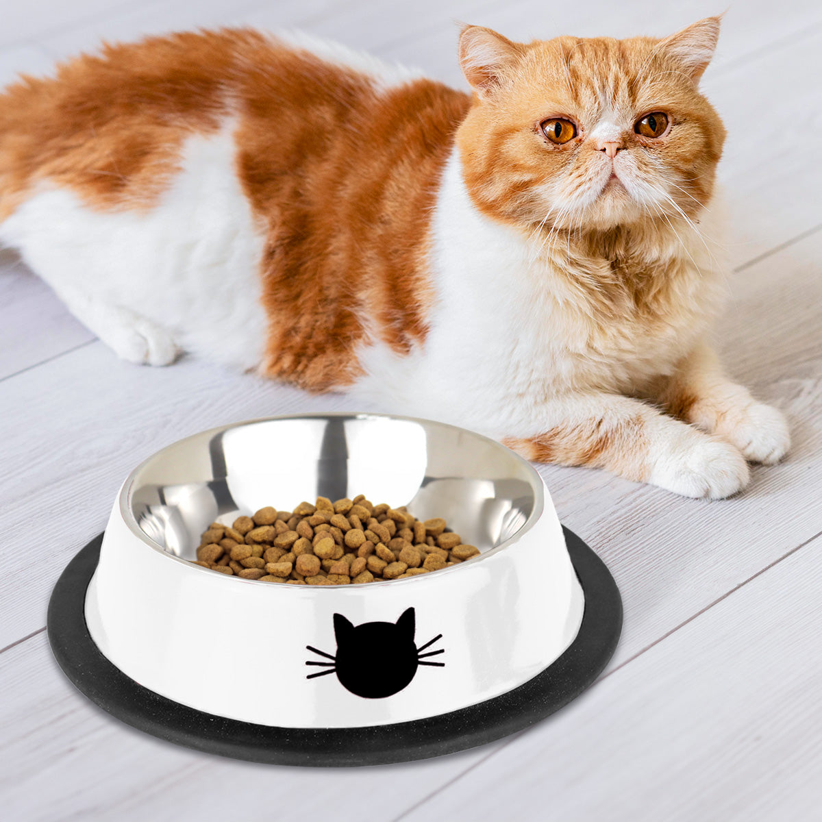 Tazón para Mascotas, Acero Inoxidable, Color Blanco