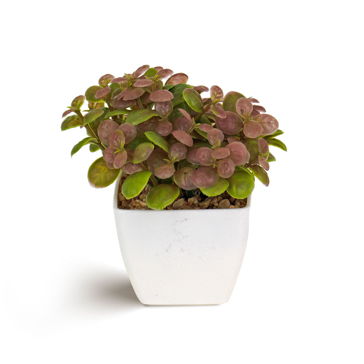 Flor Artificial Color Verde con Morado en Maceta