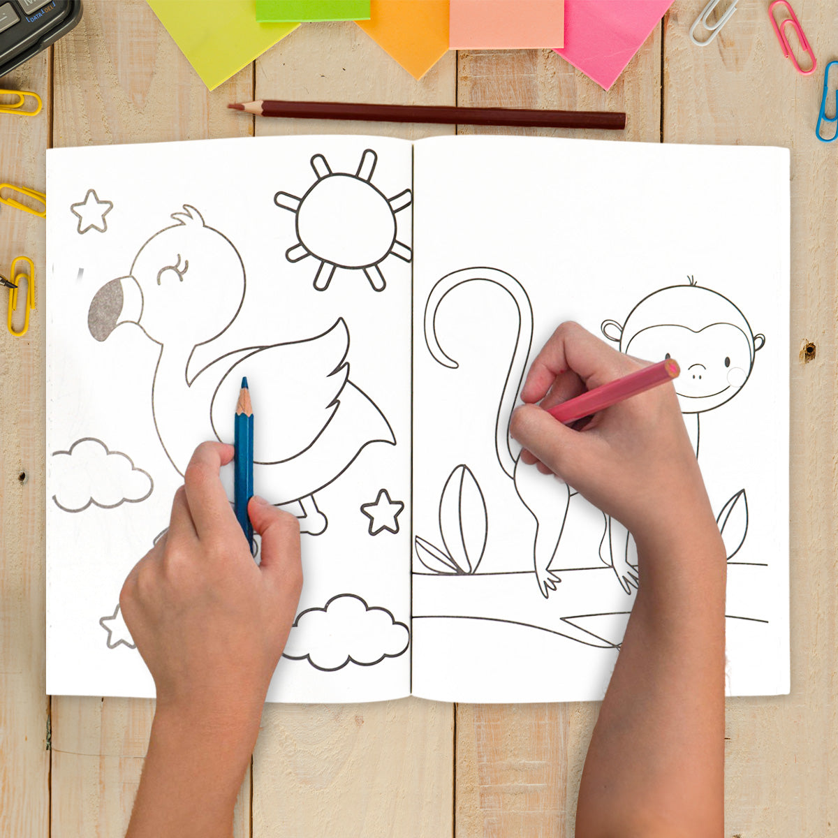 Libro para Colorear, Súper Animales