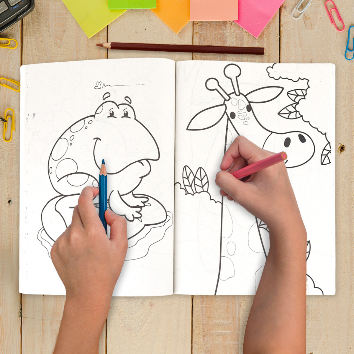 Libro para Colorear, Reino Animal