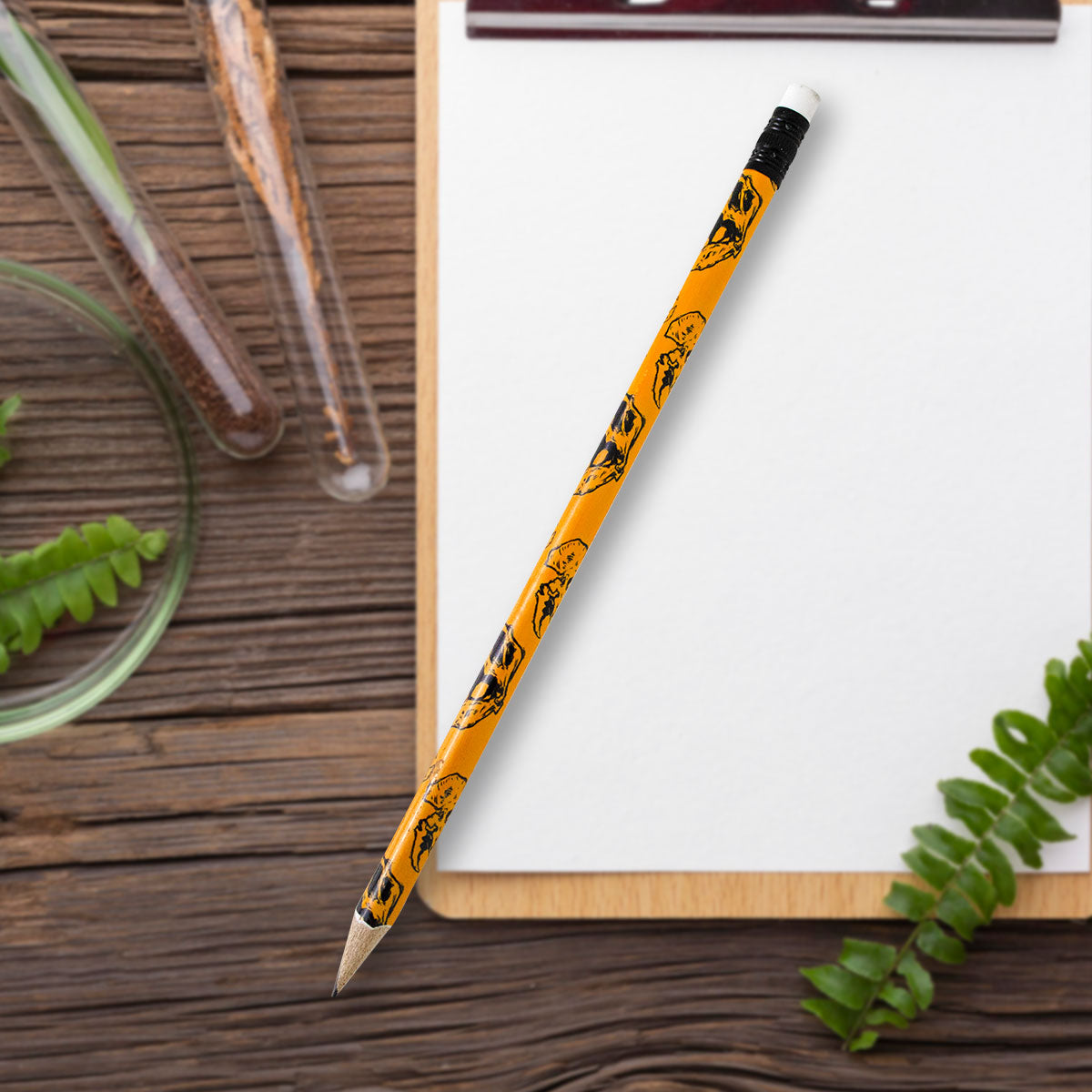 Paquete Lápices de Dinosaurios 8 pzas.