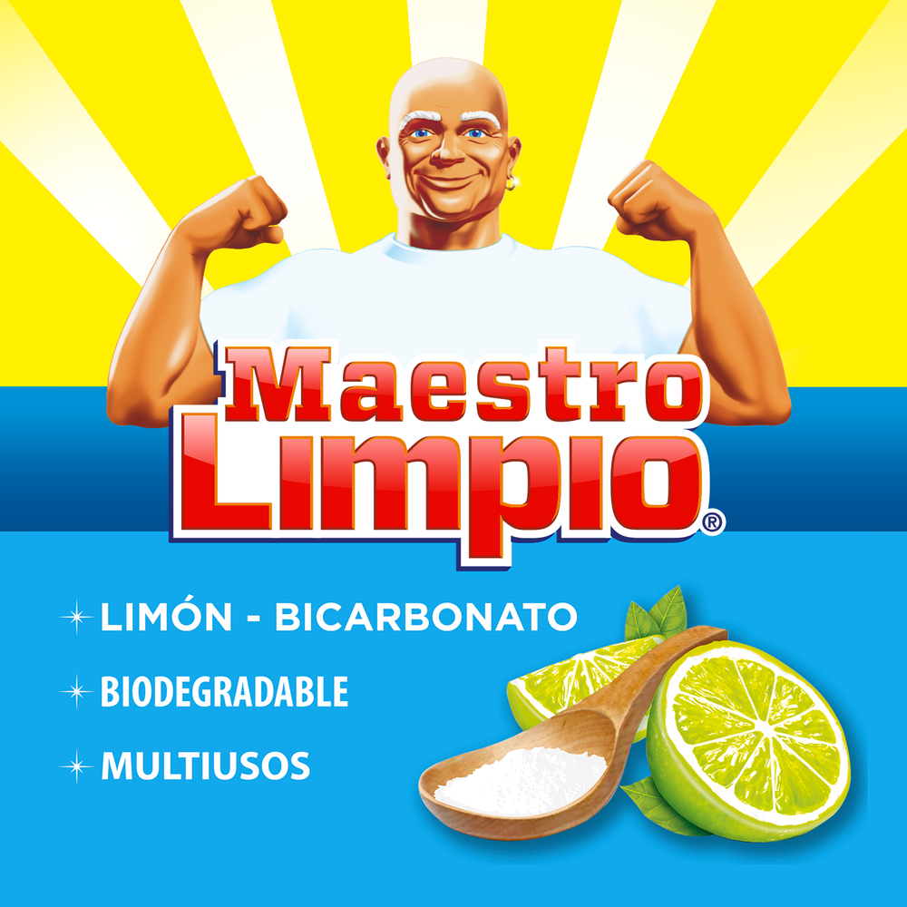Detergente en Polvo Multiusos Maestro Limpio 1Kg