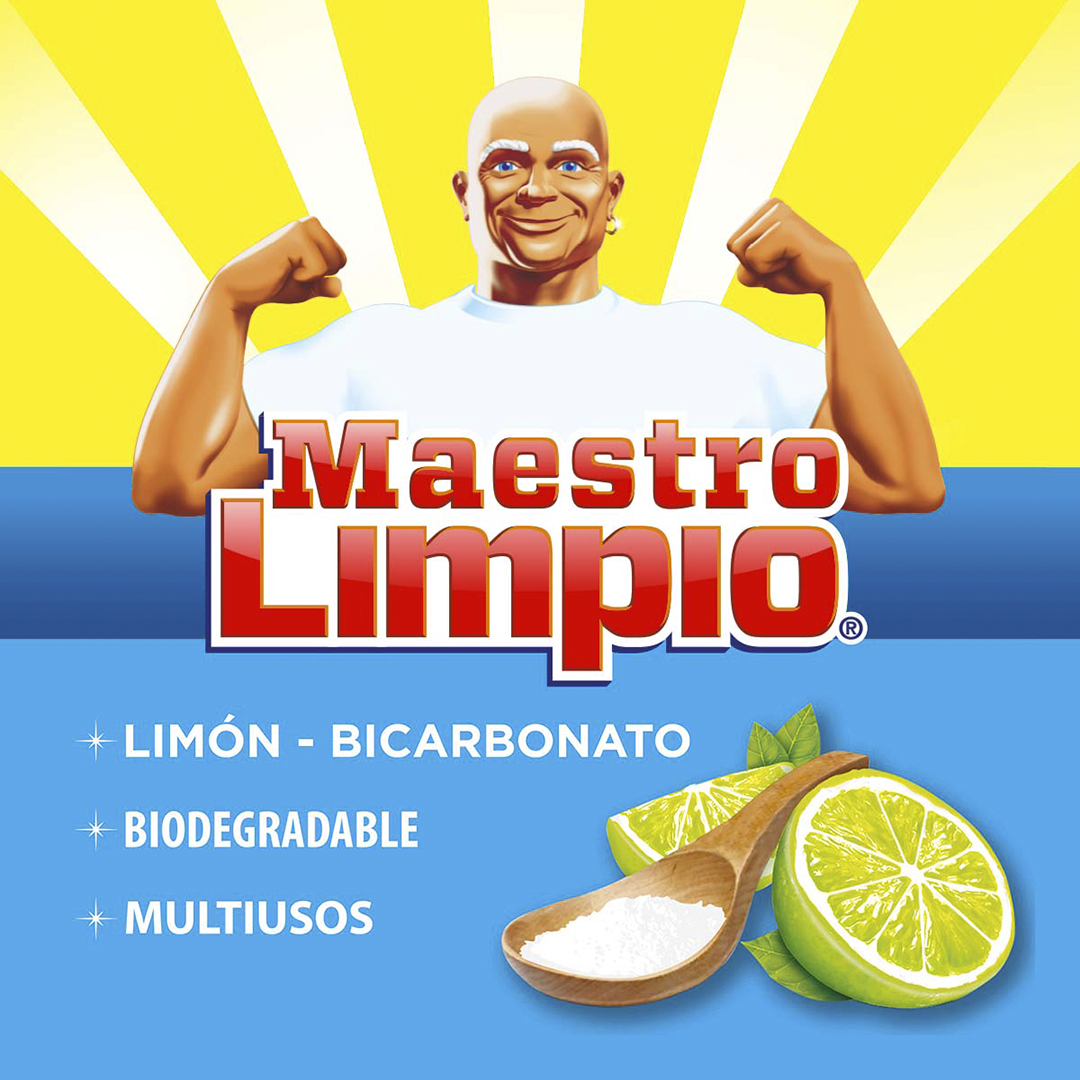 Detergente en Polvo Multiusos Maestro Limpio 500gr