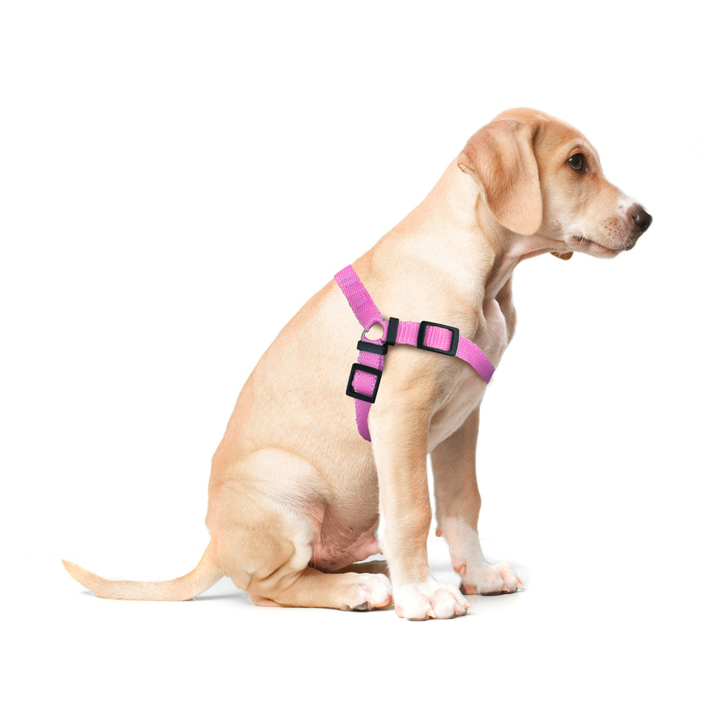 Pechera color Rosa para Mascota