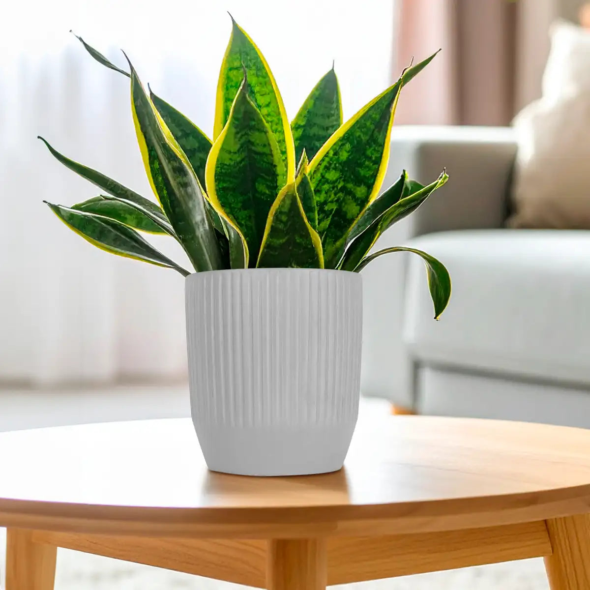 Maceta Textura Líneas de Cerámica, Color Gris, 14x12 cm