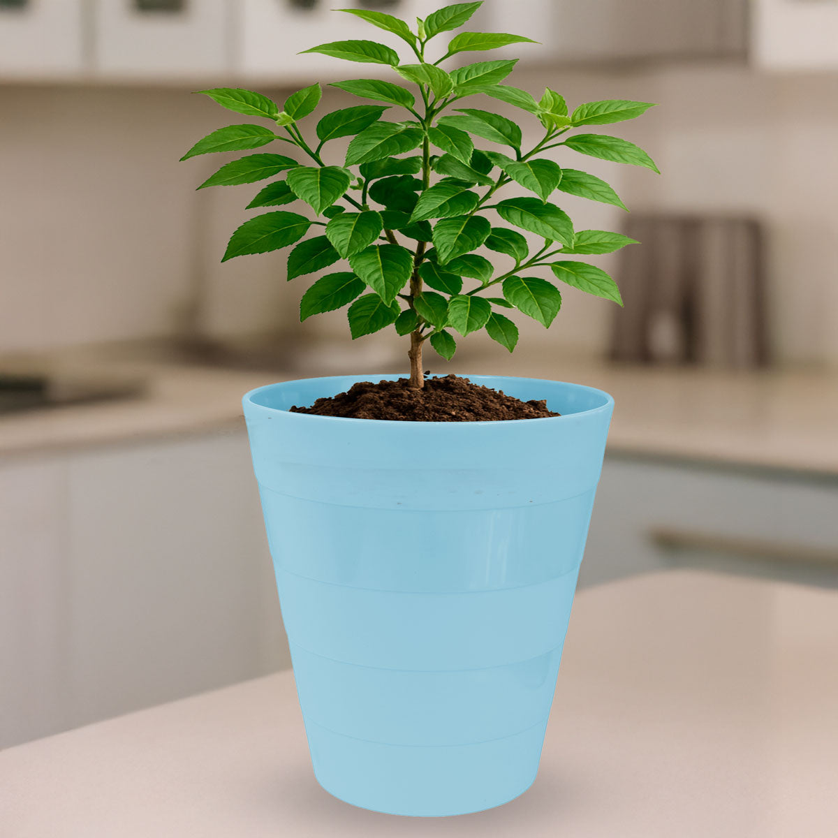 Cesto de Plástico, Color Azul