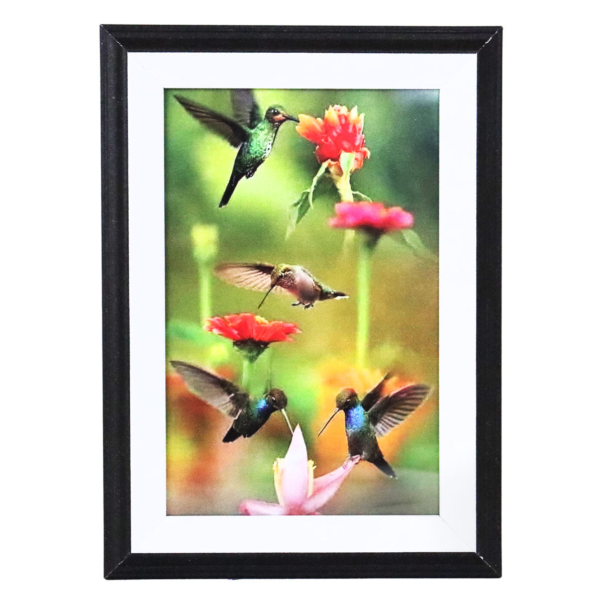 Portarretrato Colibrí, Color Blanco y Negro, 10x15 cm