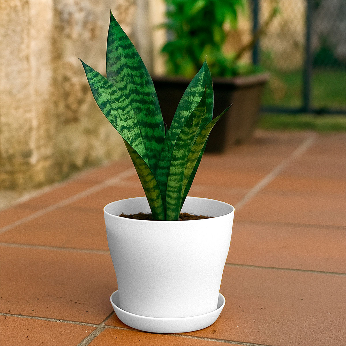 Maceta de Plástico, Color Blanco, 14x12 cm