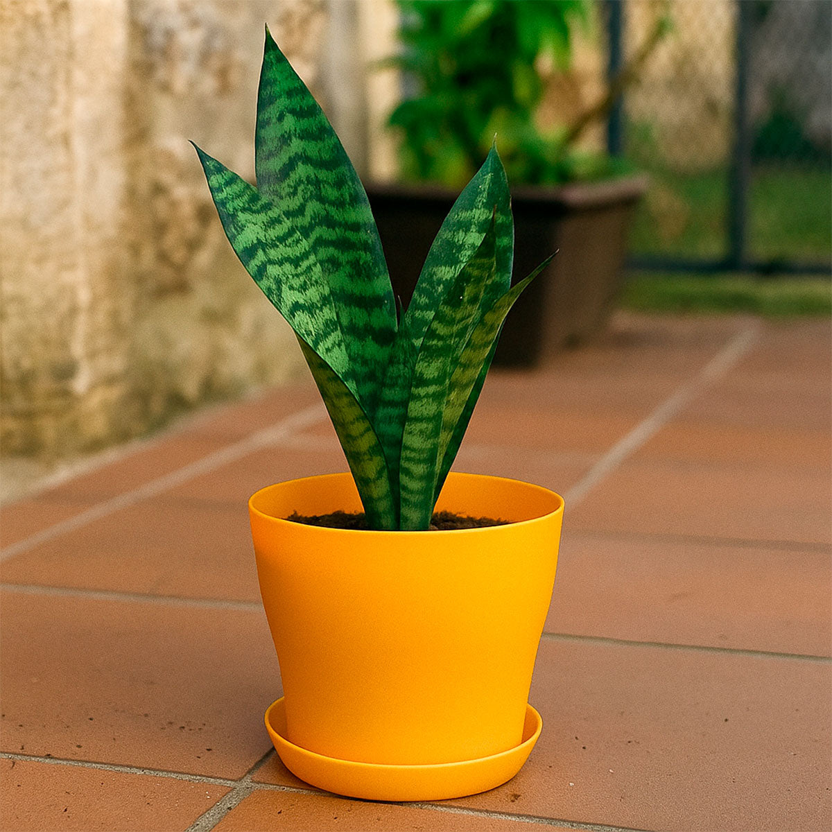 Maceta de Plástico, Color Amarillo, 14x12 cm