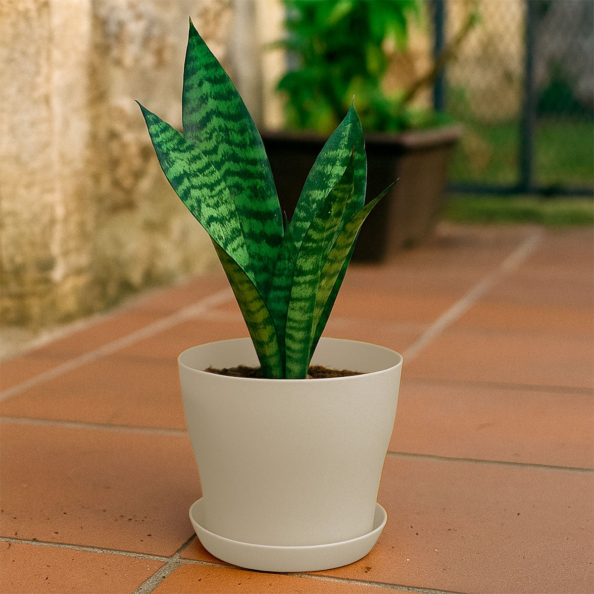 Maceta de Plástico, Color Crema, 14x12 cm