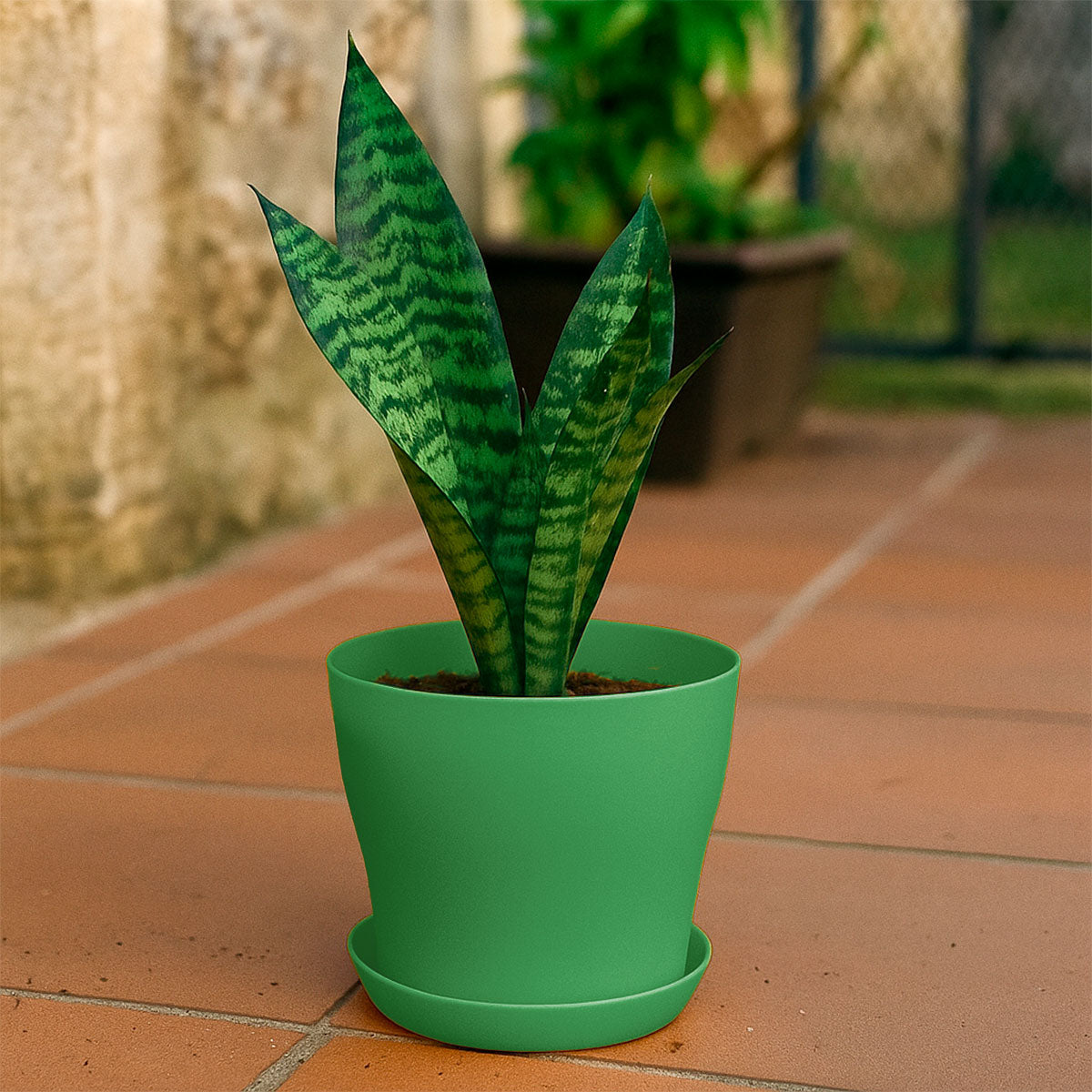 Maceta de Plástico, Color Verde, 14x12 cm