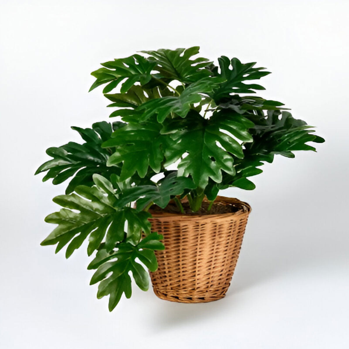 Planta Decorativa en Maceta de Mimbre, Threshold x Studio McGee