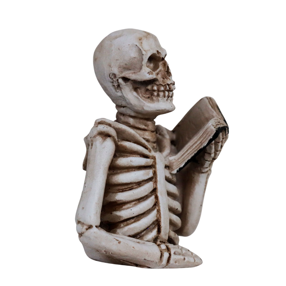 Esqueleto Leyendo, Figura de Cerámica, Halloween