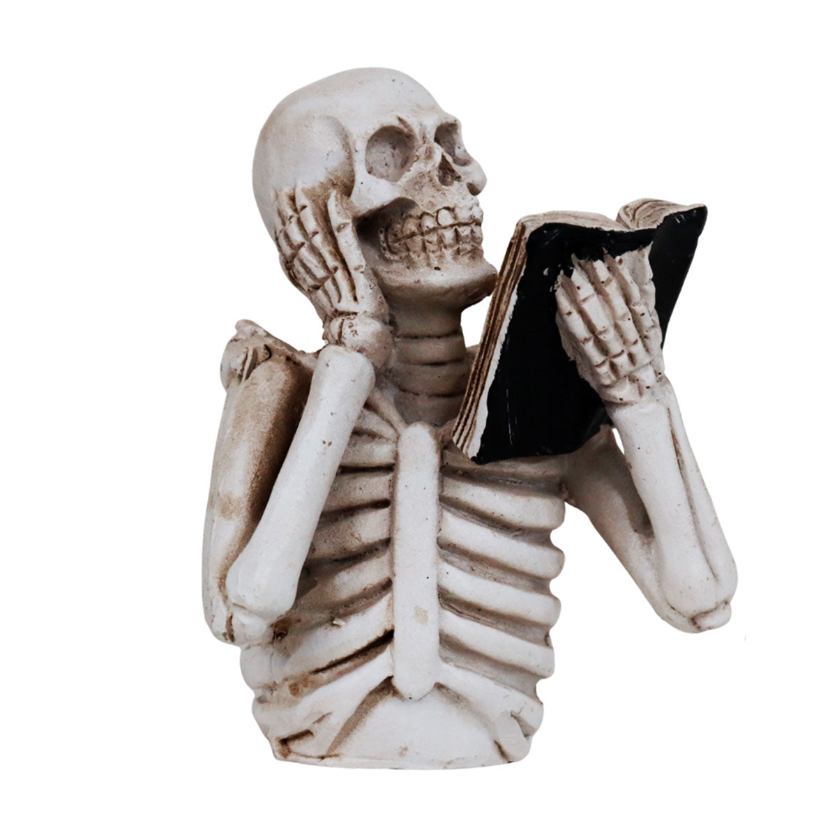 Esqueleto Leyendo Sorprendido, Figura de Cerámica, Halloween