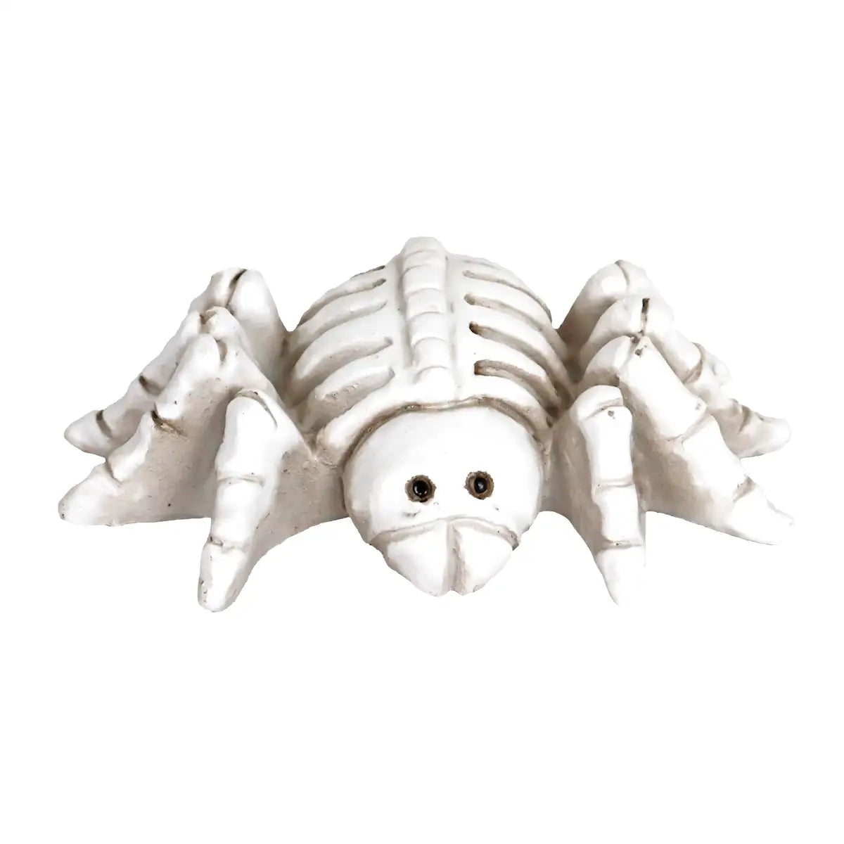 Esqueleto de Araña, Figura de Cerámica