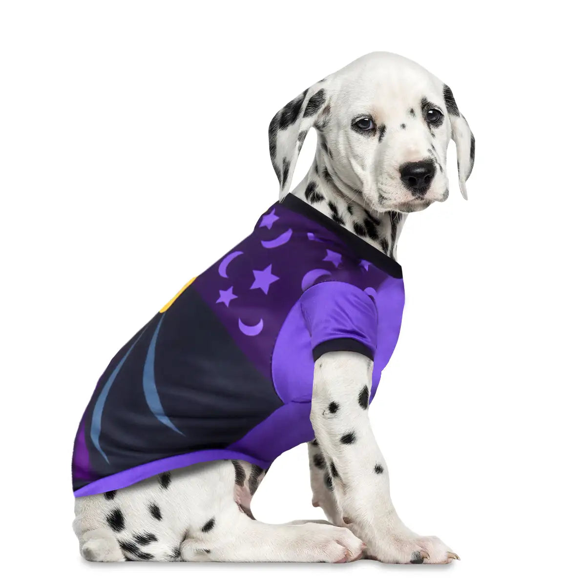 Mago, Disfraz para Mascota, Talla Chica