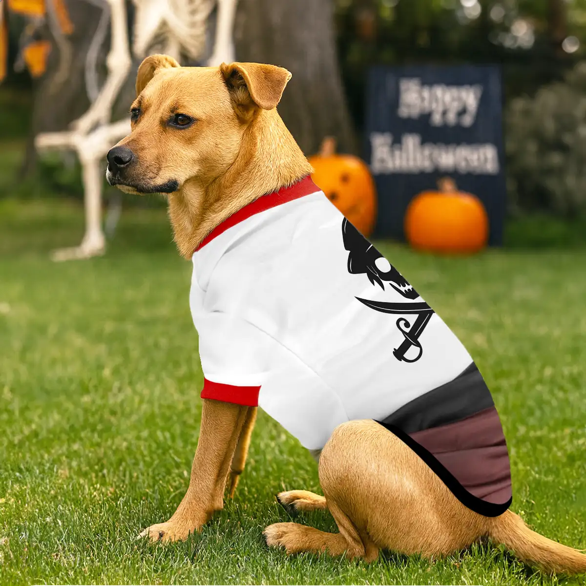 Pirata, Disfraz para Mascota, Talla Grande