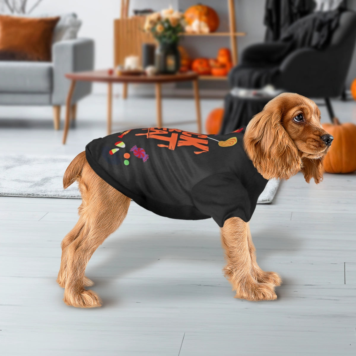 Trick or Treat, Disfraz para Mascota, Talla Grande