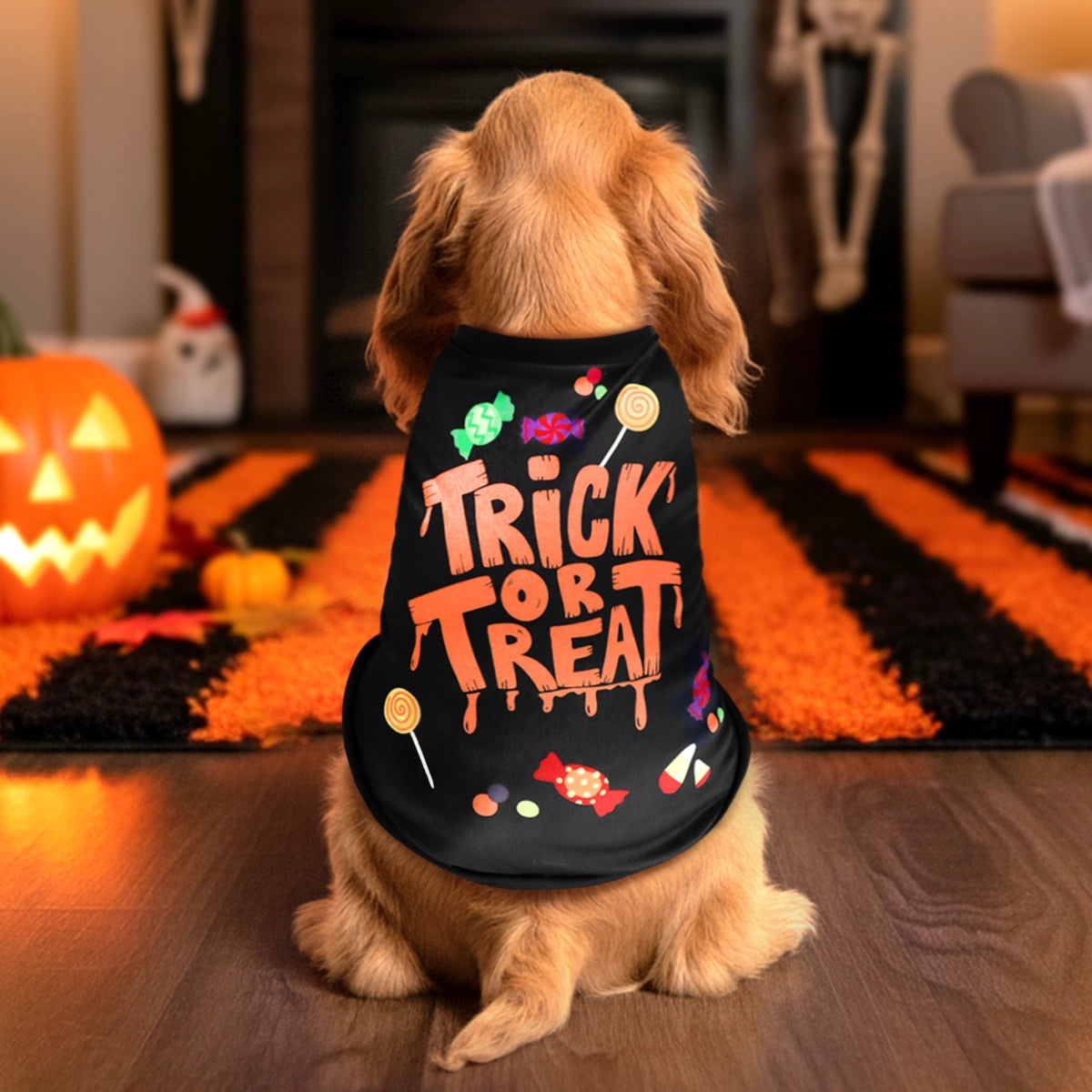 Trick or Treat, Disfraz para Mascota, Talla Grande