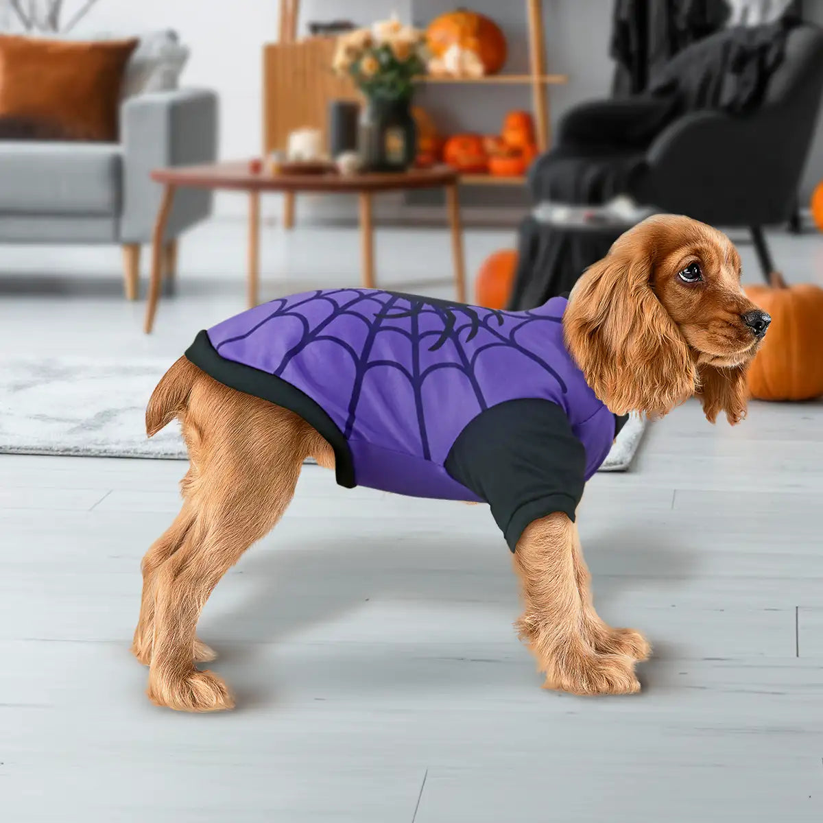 Telaraña, Disfraz para Mascota, Talla Chica