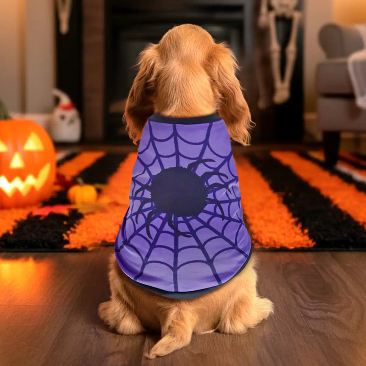 Telaraña, Disfraz para Mascota, Talla Grande