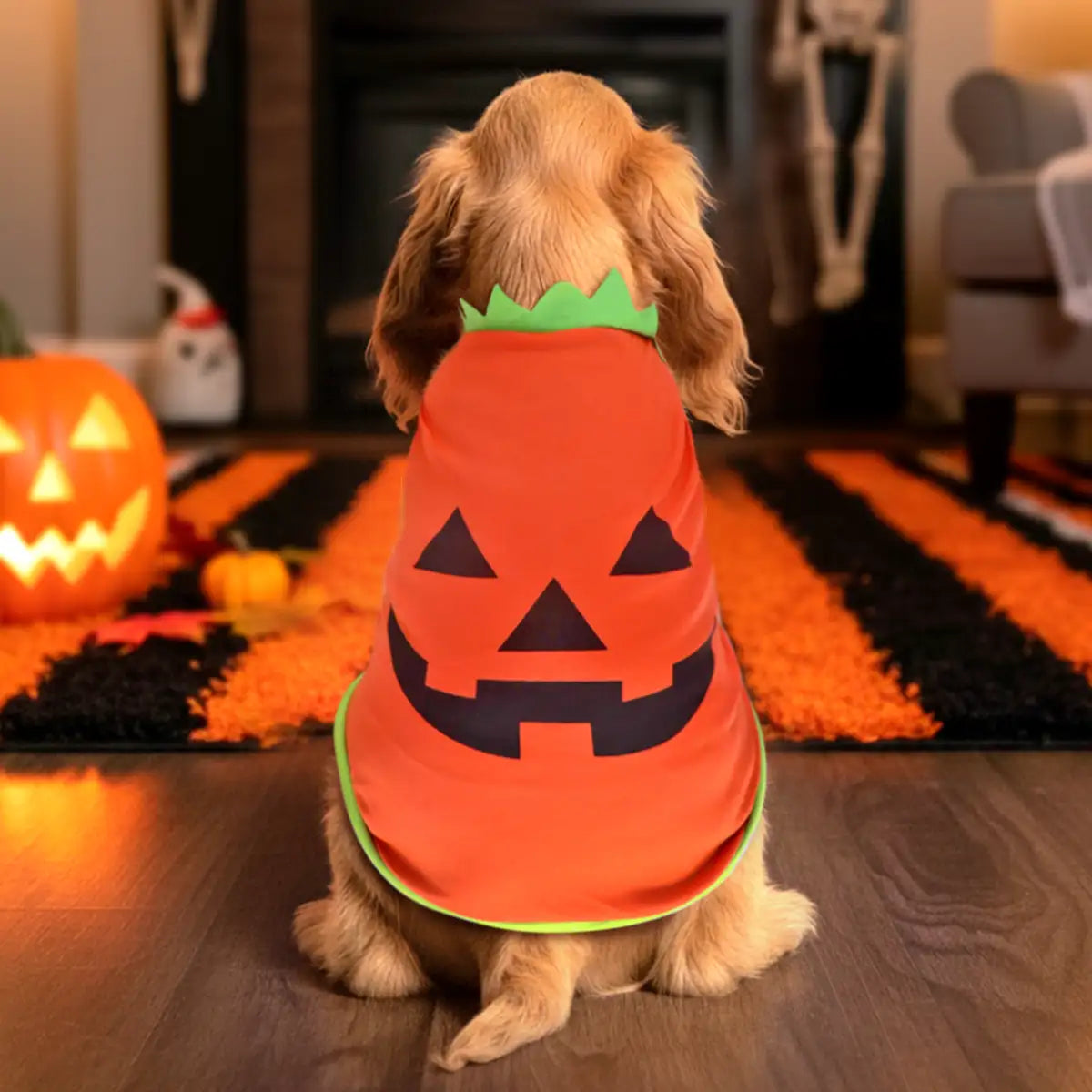 Calabaza, Disfraz para Mascota, Talla Mediana