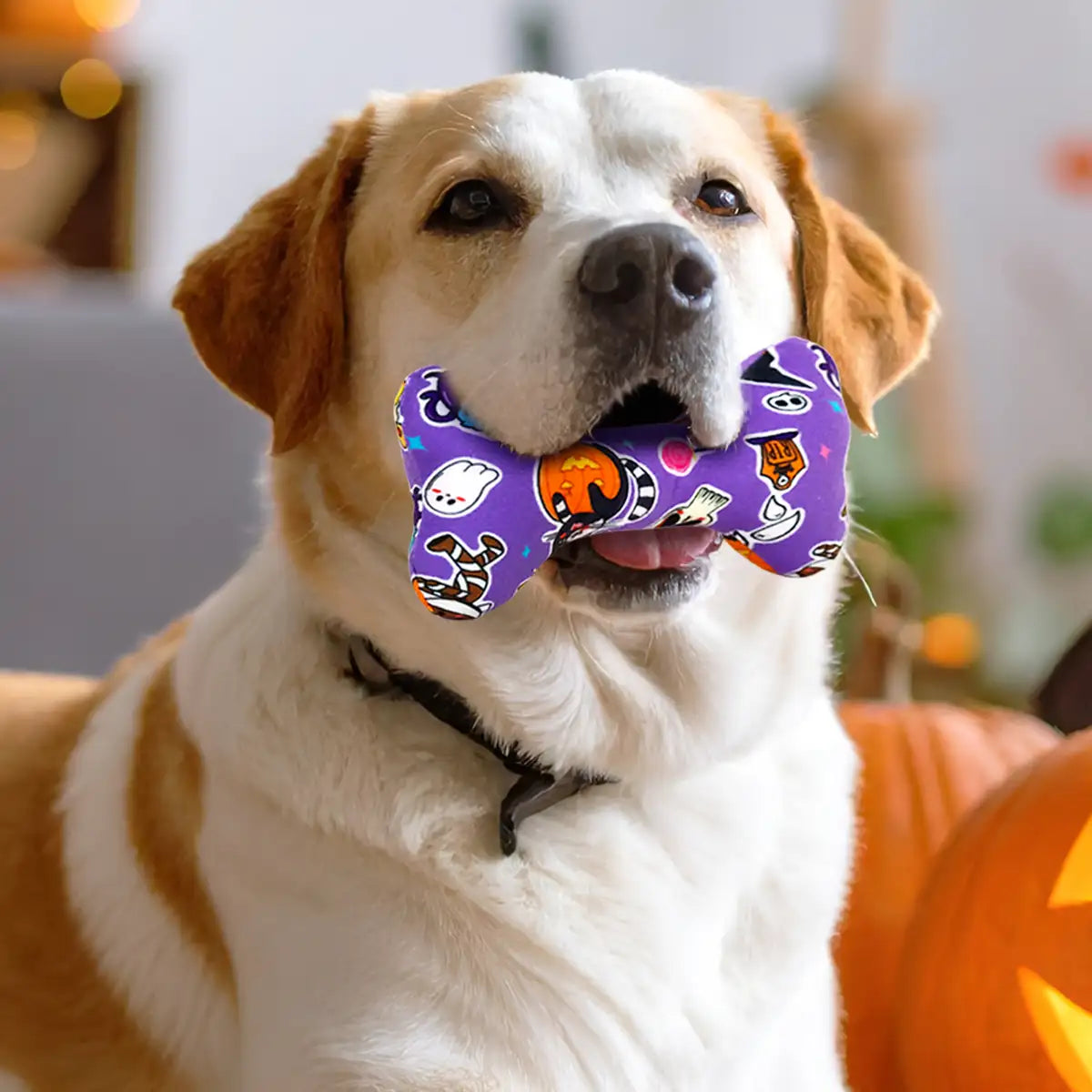 Hueso Juguete para Perro, Halloween, Color Morado