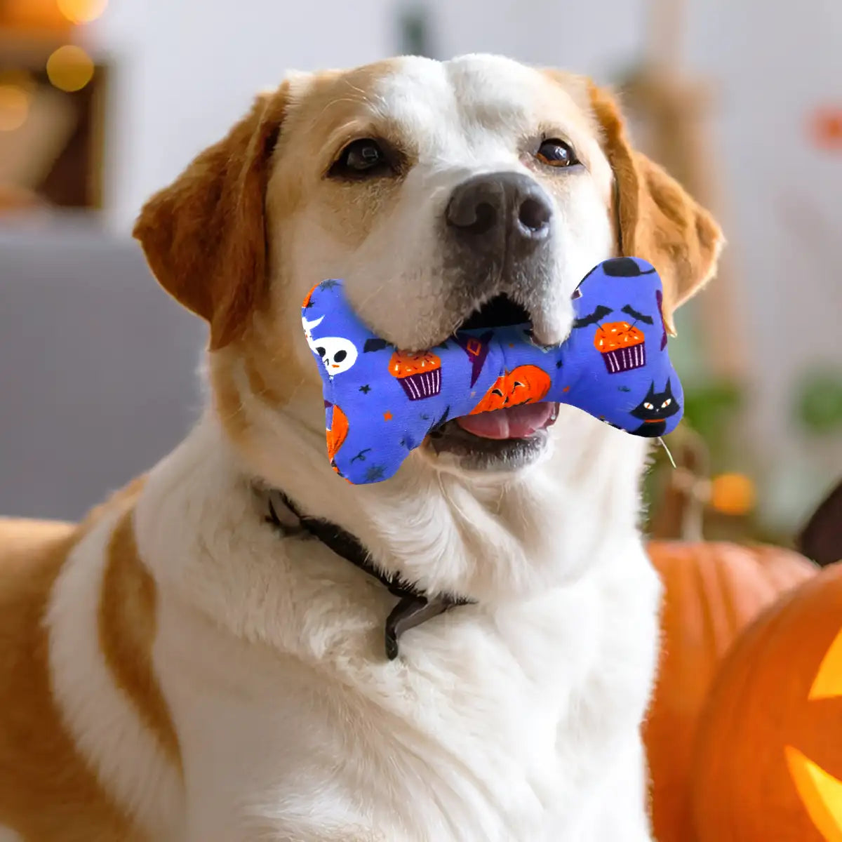 Hueso Juguete para Perro, Halloween, Color Azul