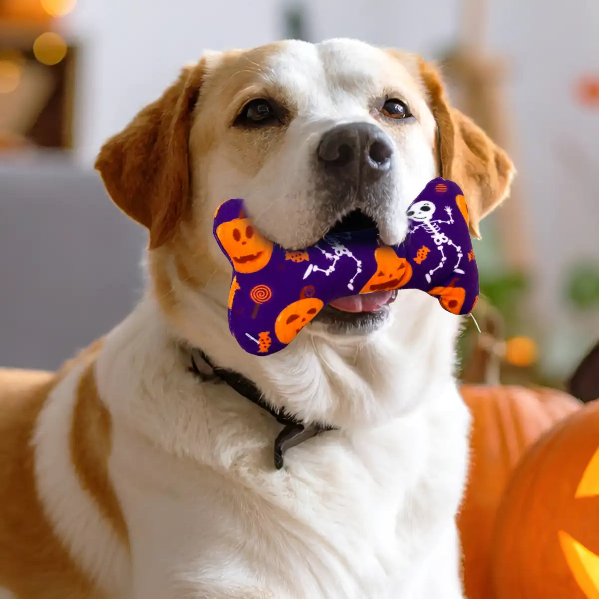 Hueso Juguete para Perro, Halloween