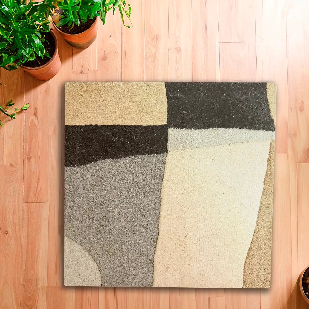 Tapete Cuadrado, Aurelia