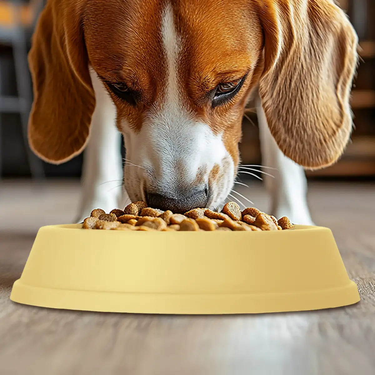 Plato Antiansiedad para Mascotas, Color Amarillo