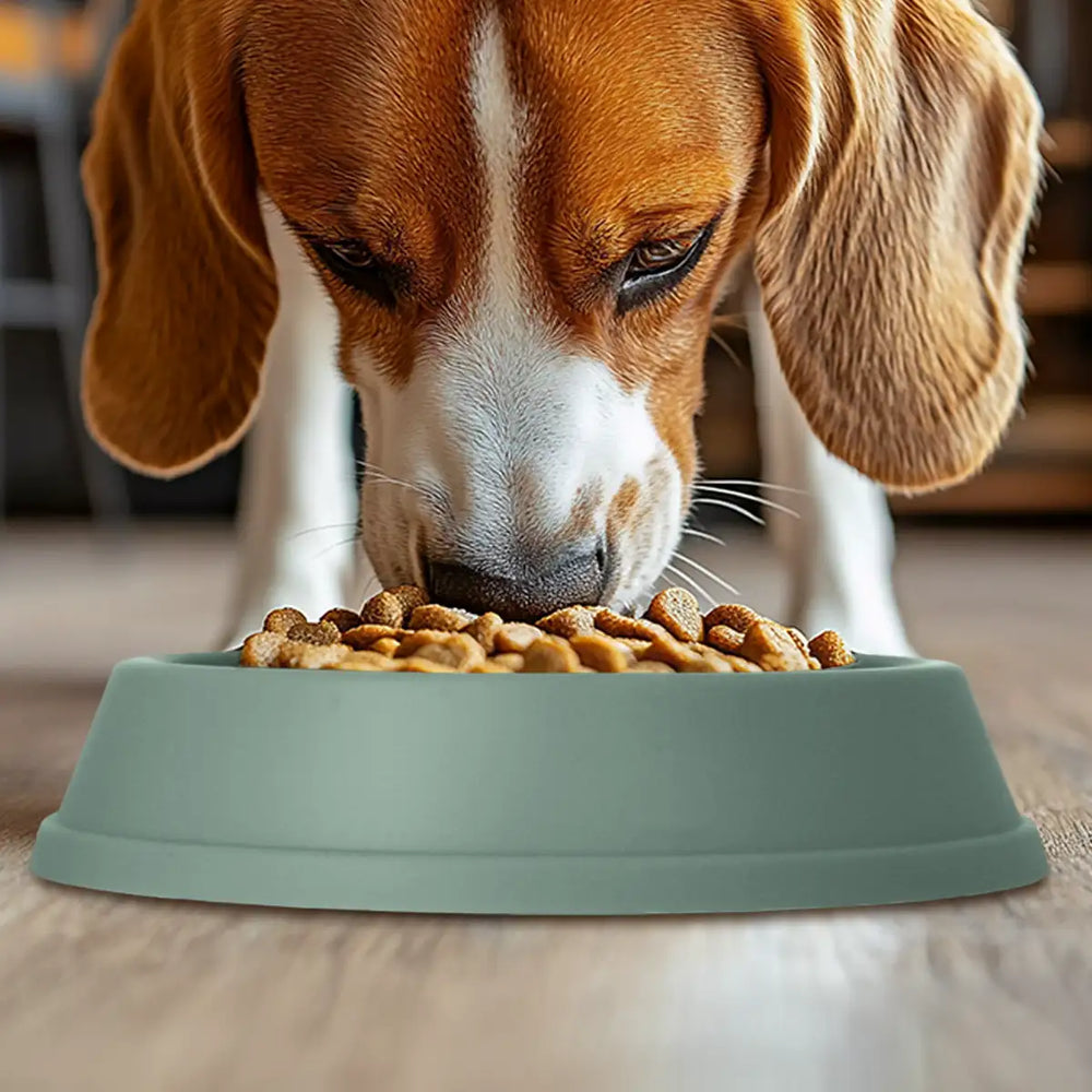 Plato Antiansiedad para Mascotas, Color Verde