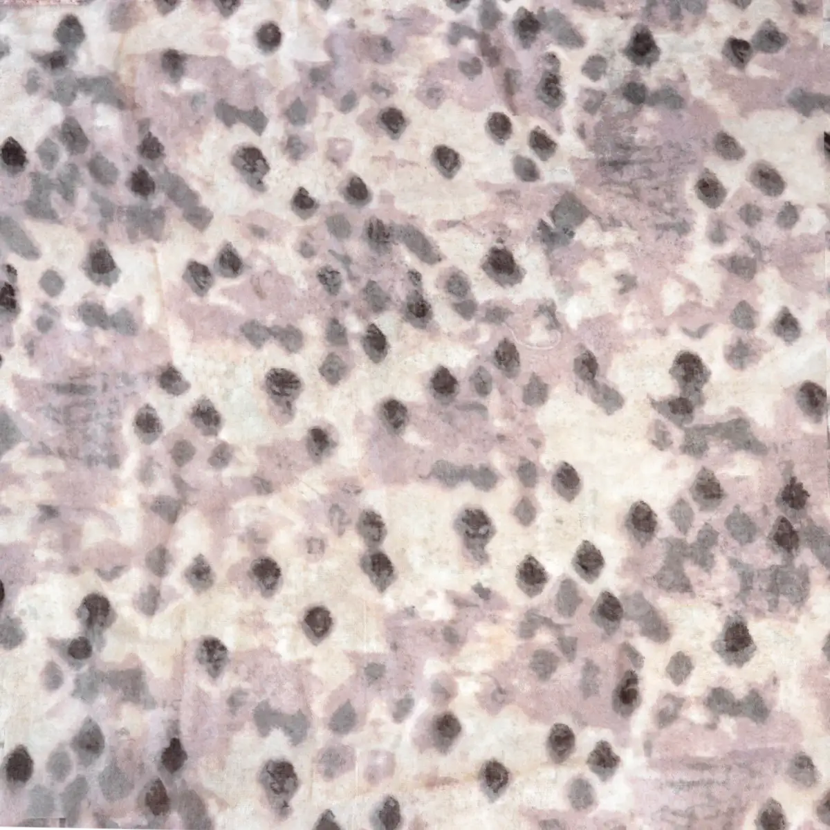 Pashmina, Color Café