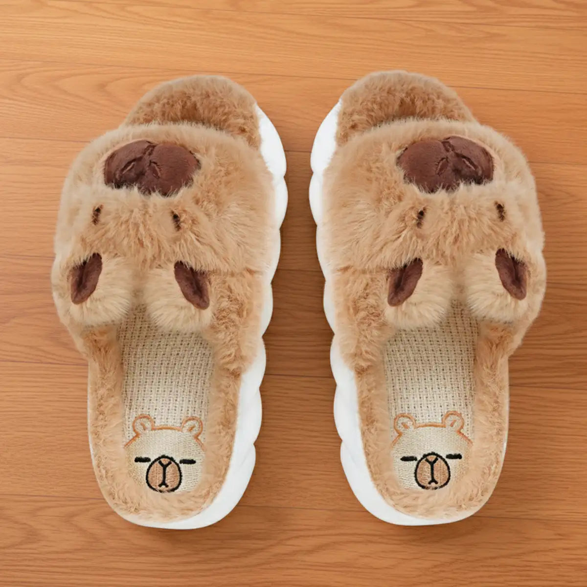 Pantuflas, Diseño Capibara