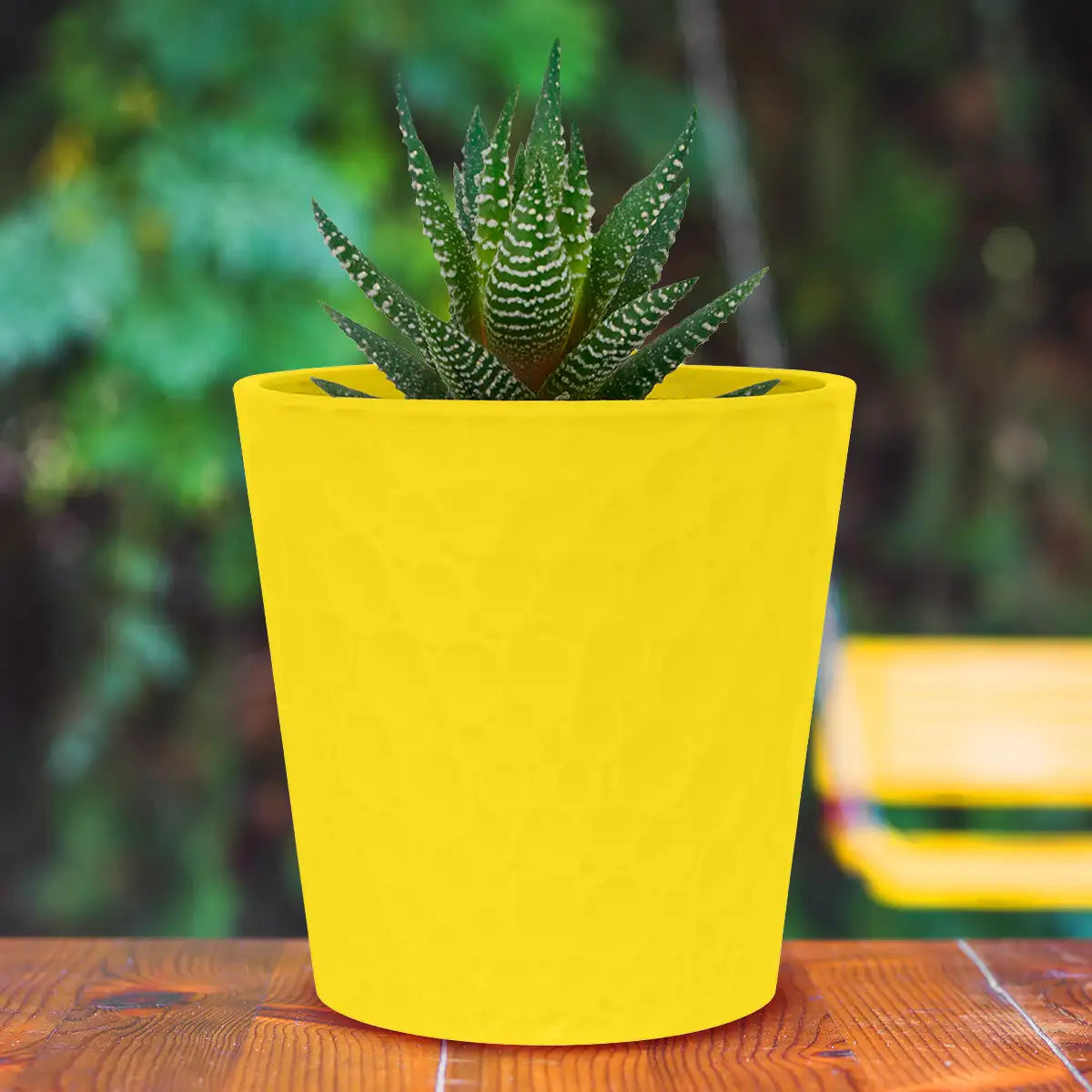 Maceta Textura Círculos, Color Amarilla, 13x12 cm