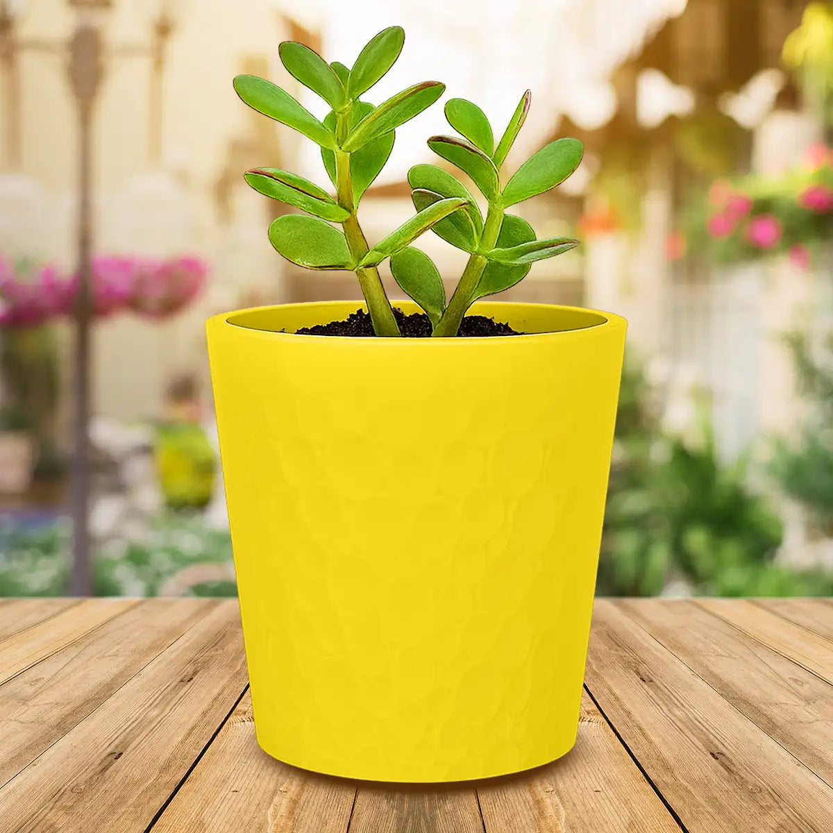 Maceta Textura Círculos, Color Amarilla, 13x12 cm